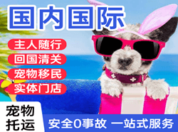 于田万方机场物流国际宠物托运 【国